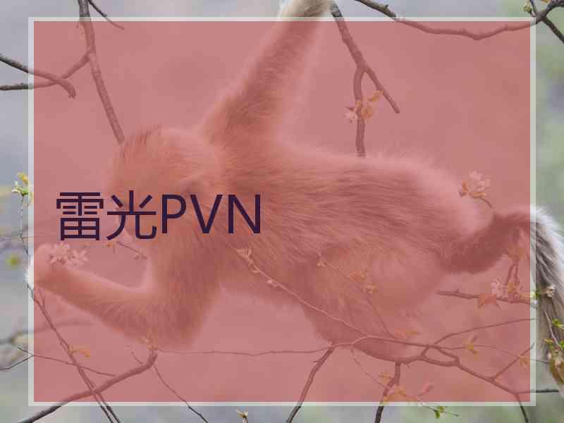 雷光PVN