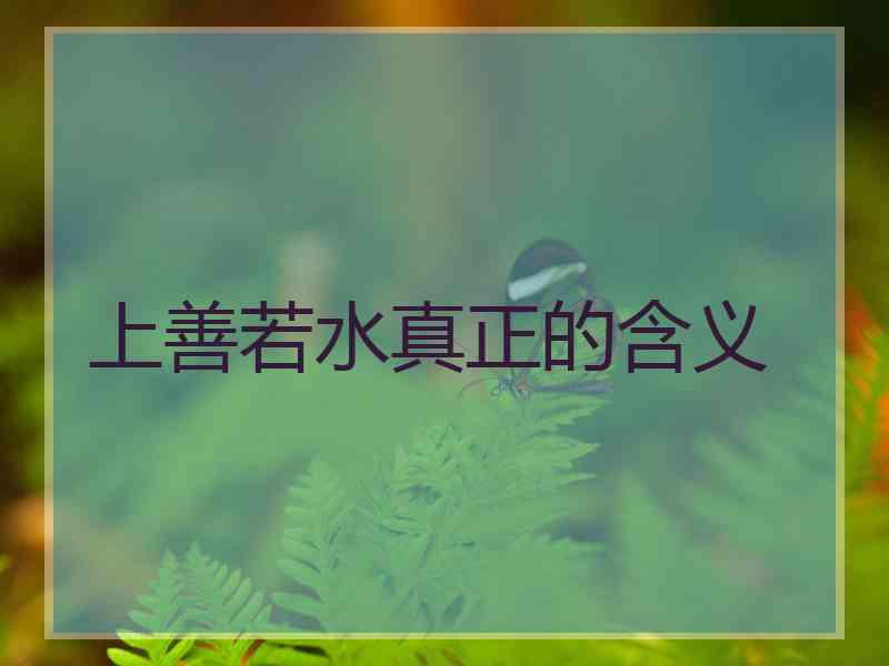 上善若水真正的含义