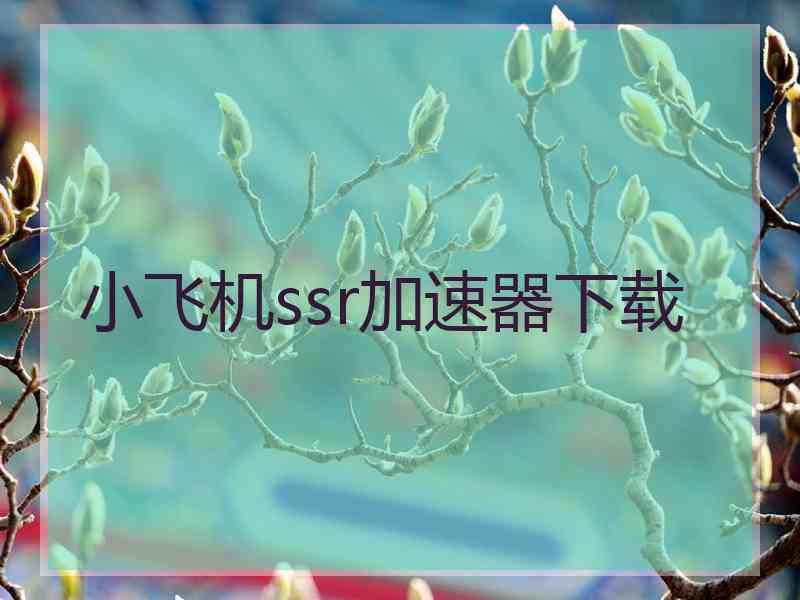 小飞机ssr加速器下载