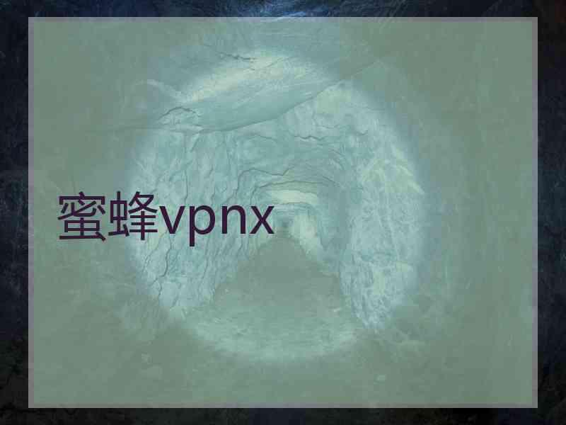 蜜蜂vpnx