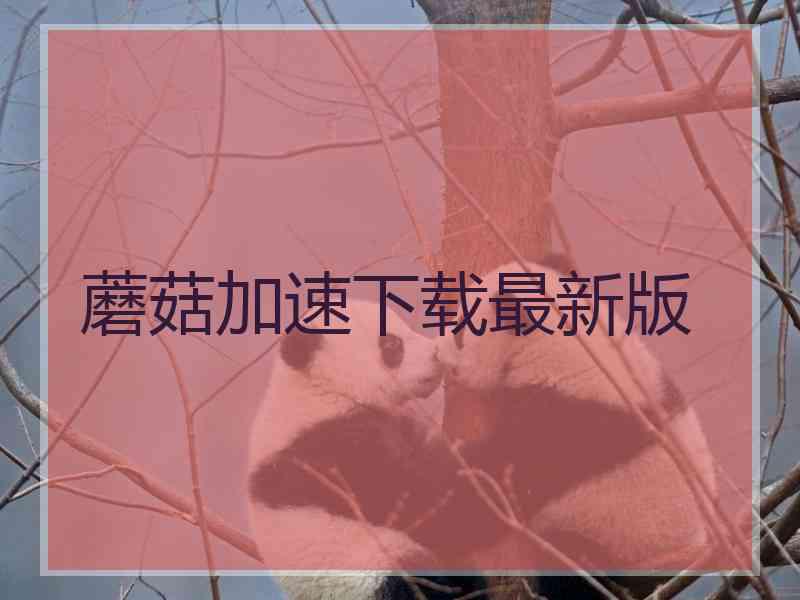 蘑菇加速下载最新版