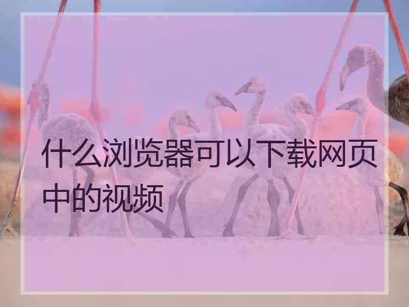 什么浏览器可以下载网页中的视频