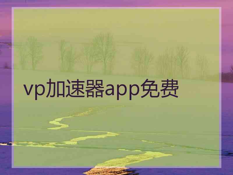 vp加速器app免费