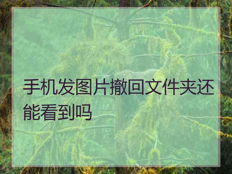 手机发图片撤回文件夹还能看到吗