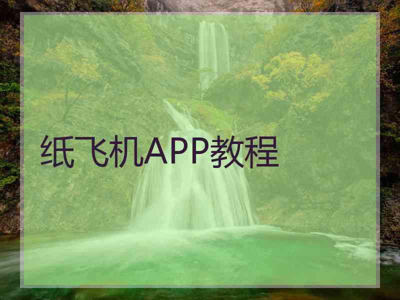 纸飞机APP教程