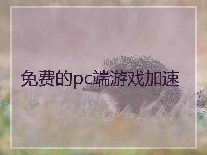 免费的pc端游戏加速