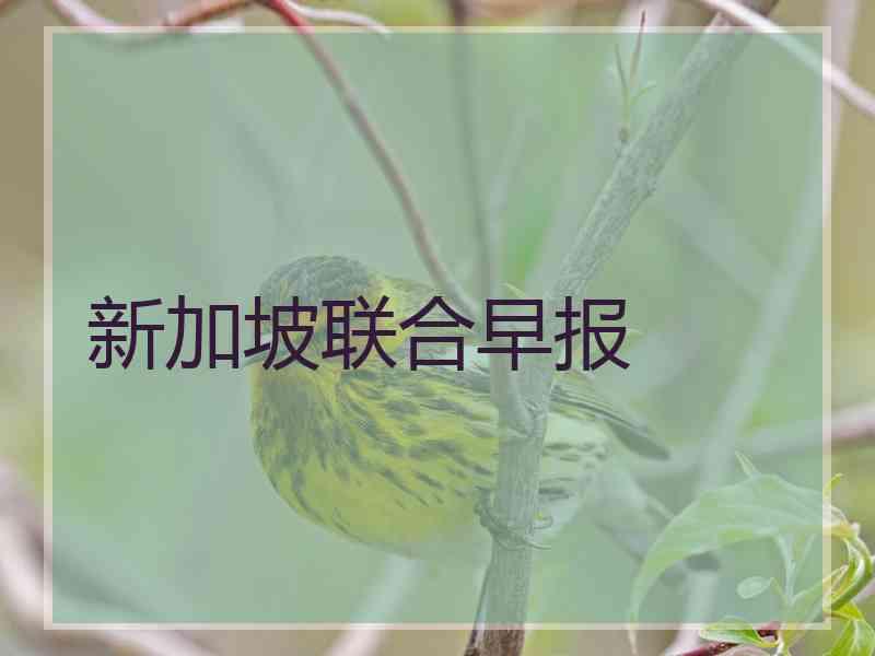 新加坡联合早报