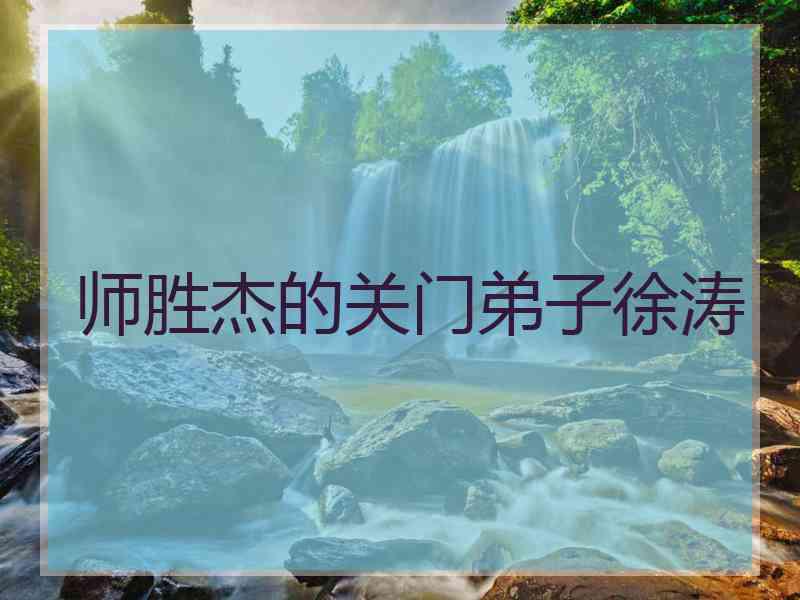 师胜杰的关门弟子徐涛