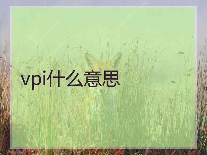 vpi什么意思