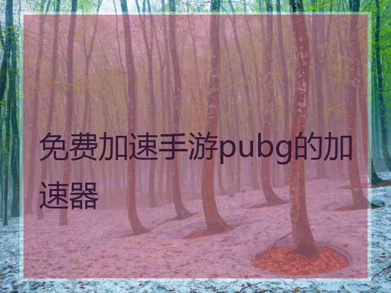 免费加速手游pubg的加速器