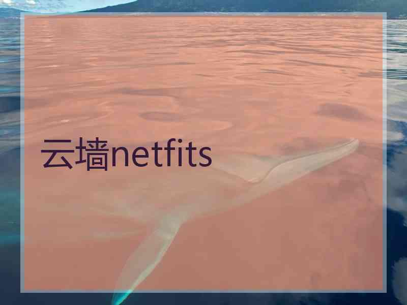 云墙netfits