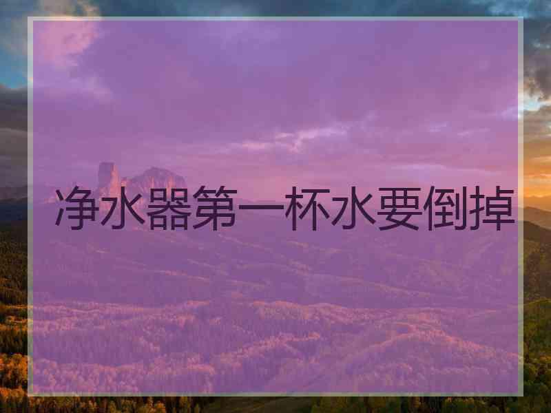 净水器第一杯水要倒掉