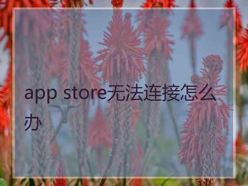 app store无法连接怎么办