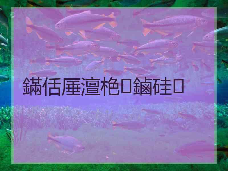 鏋佸厜澶栬鏀硅