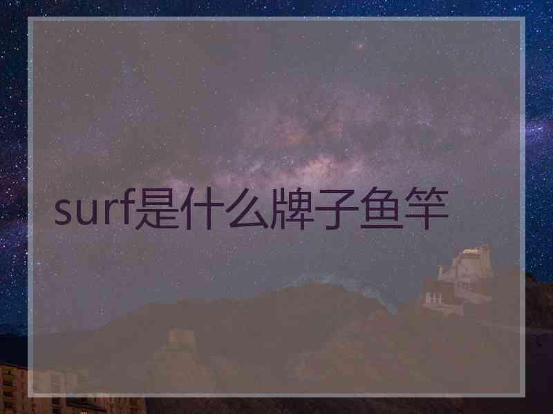 surf是什么牌子鱼竿