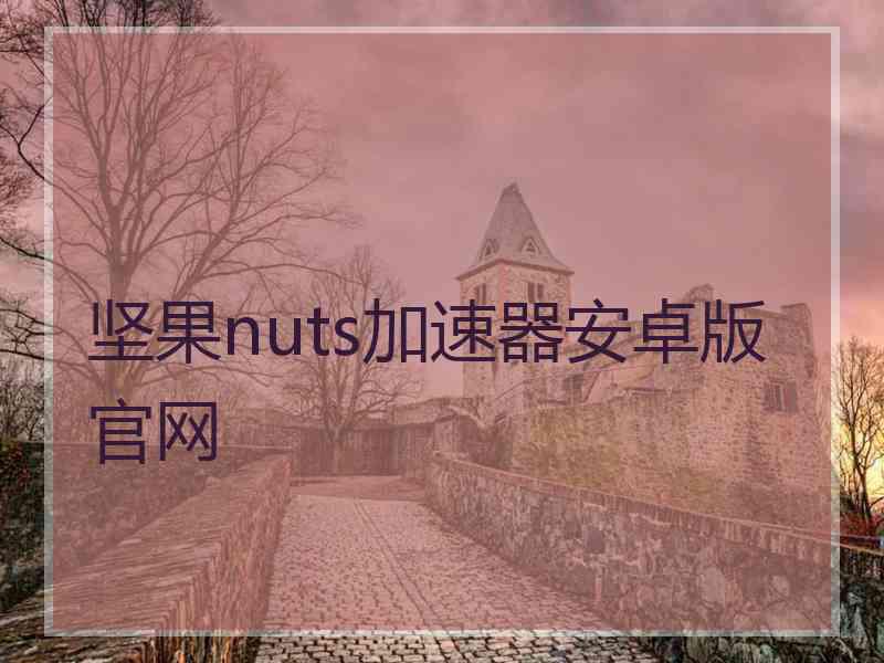 坚果nuts加速器安卓版官网