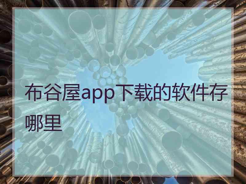 布谷屋app下载的软件存哪里