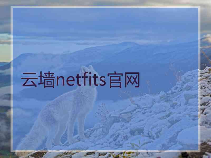 云墙netfits官网