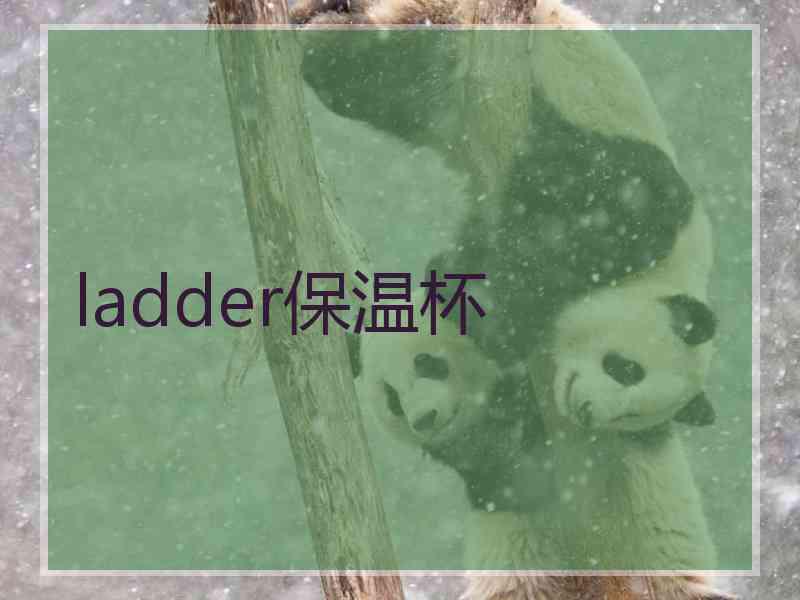 ladder保温杯