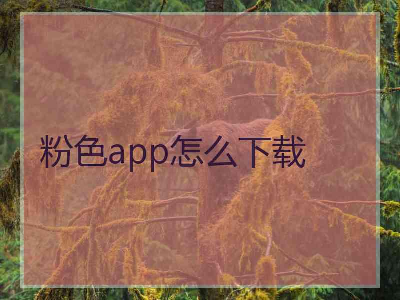 粉色app怎么下载