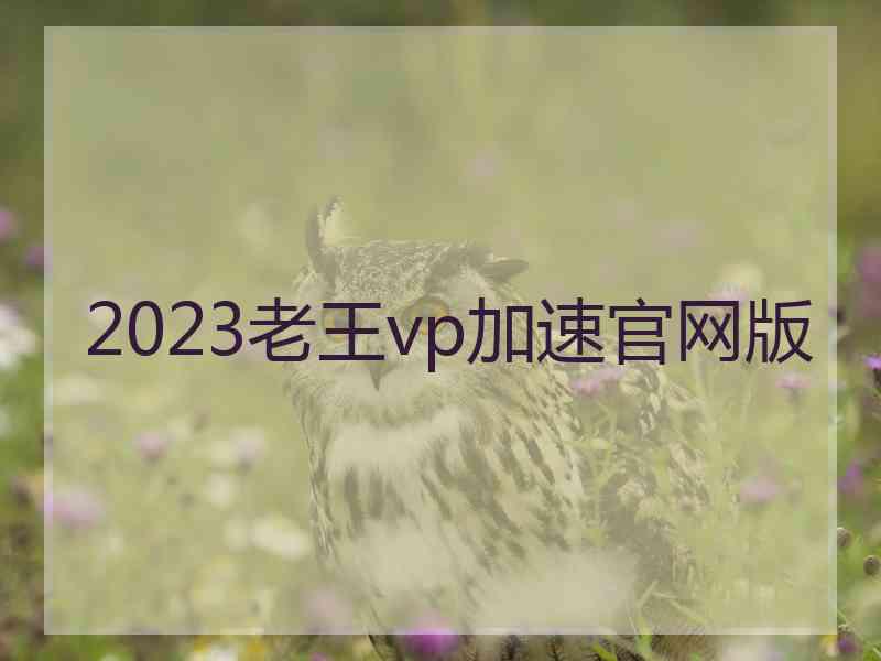 2023老王vp加速官网版