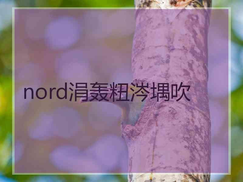 nord涓轰粈涔堣吹