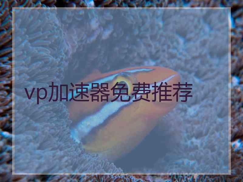 vp加速器免费推荐