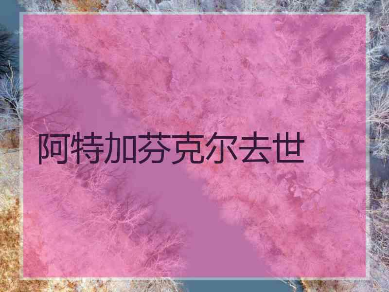 阿特加芬克尔去世