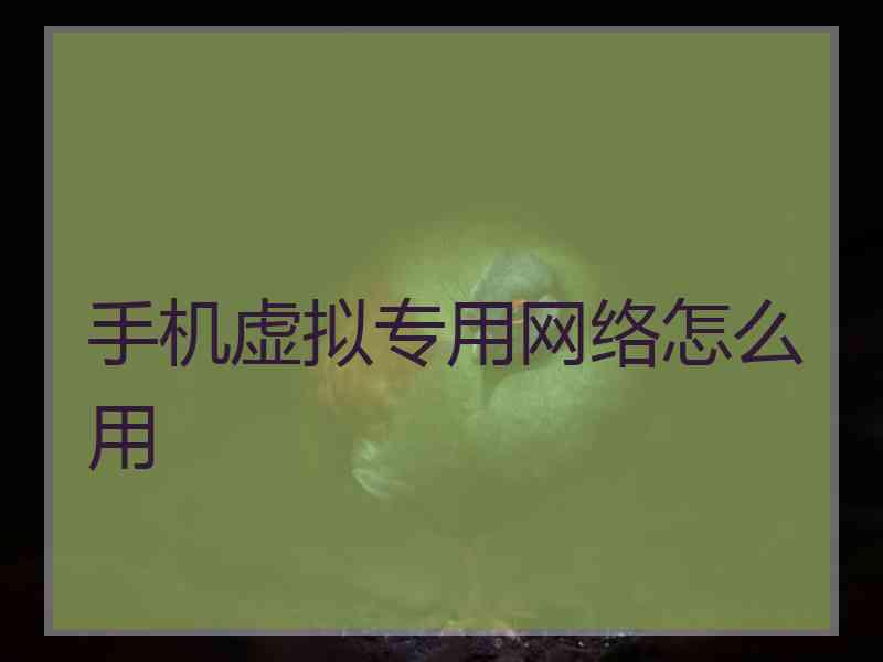 手机虚拟专用网络怎么用