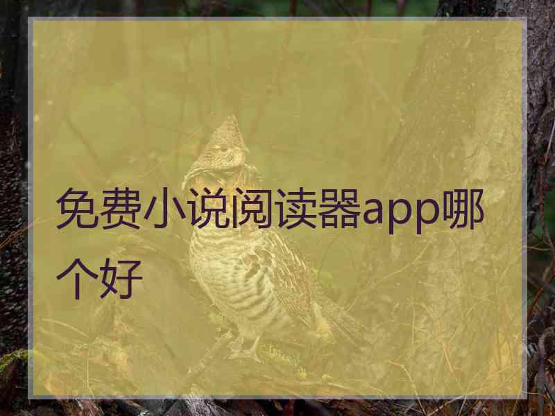 免费小说阅读器app哪个好