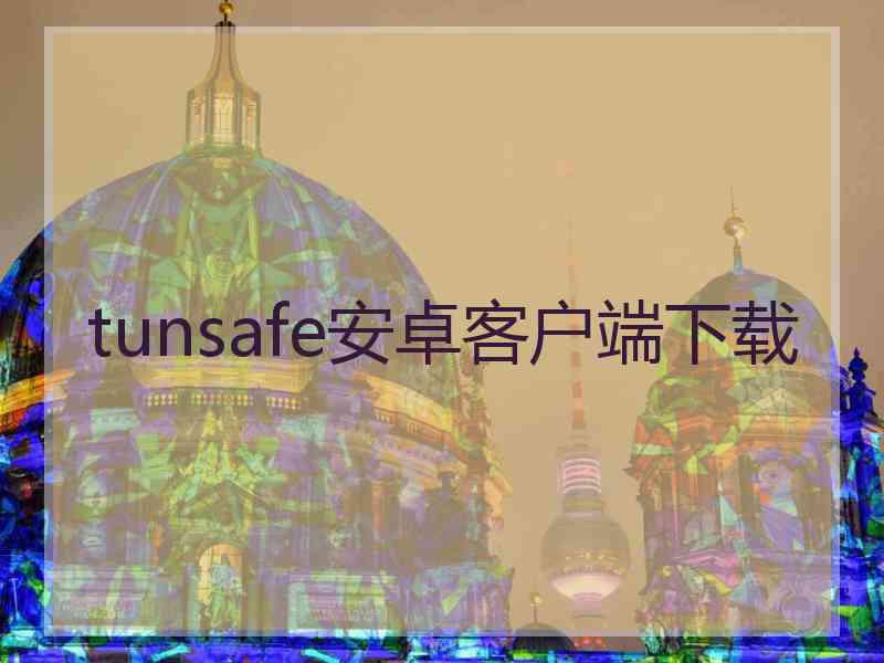 tunsafe安卓客户端下载