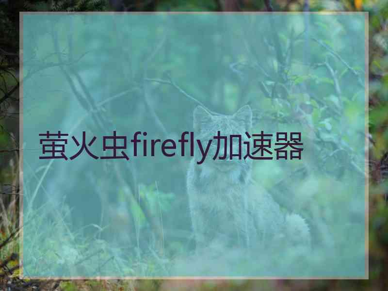 萤火虫firefly加速器