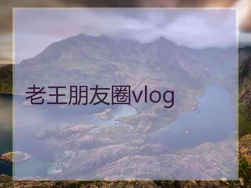 老王朋友圈vlog