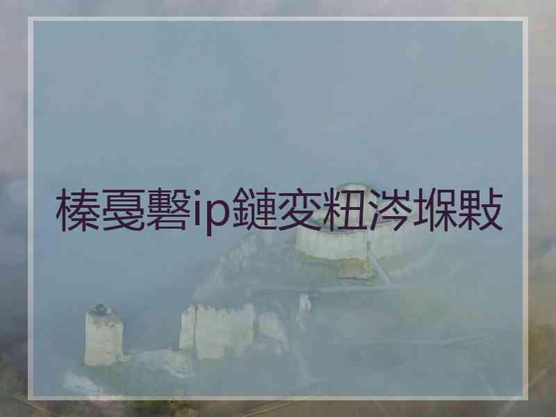 榛戞礊ip鏈変粈涔堢敤