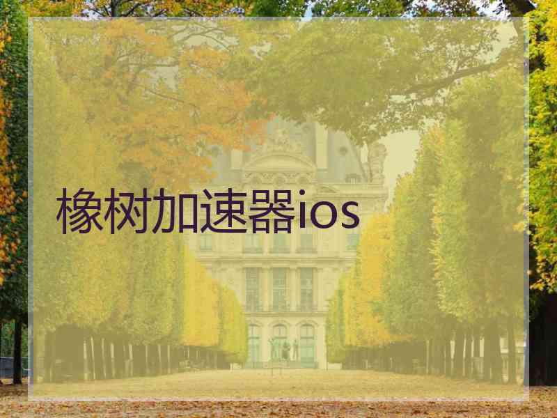 橡树加速器ios