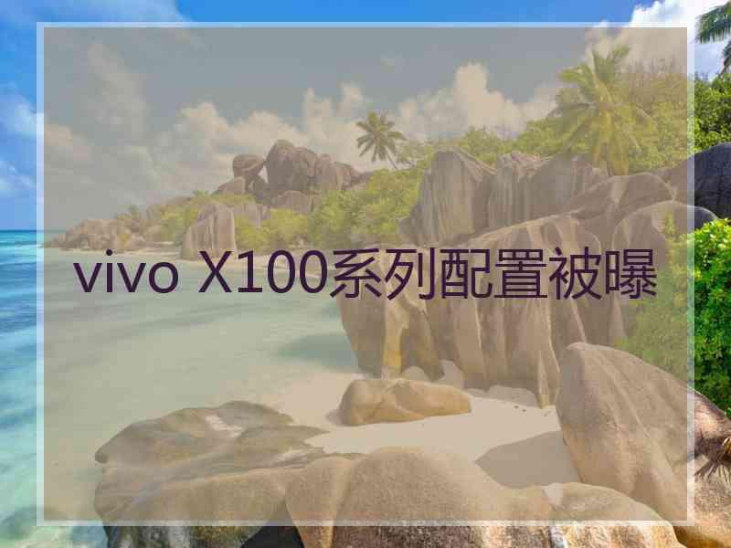 vivo X100系列配置被曝